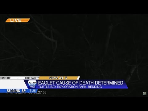 Reading Eagle Obituary Notices