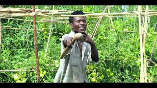Download lagu Triple 7 Sevelense - Village Girl ( Music video Out Now) mp3