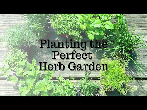 Virtual Seminar: How to Plant the Perfect Herb Garden in Central Florida