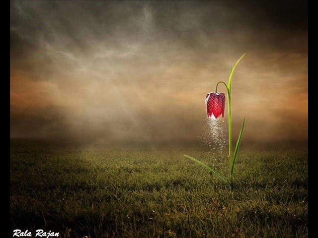 Vishnu Bhagavaante Kaarunyam