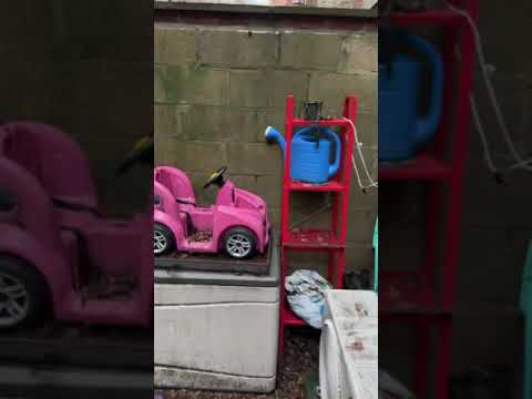 video 1