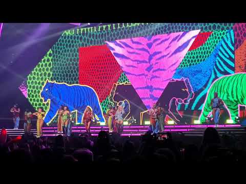 Little Mix - Bounce Back (Live)(Newcastle 26/10/19)(LM5 Tour) 4K Quality