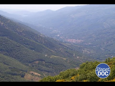 How is life in Extremadura? Wild paradise under the laws of nature (FULL DOCUMENTARY)
