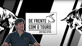 DE FRENTE COM O TOURO – MARCELO BUENO