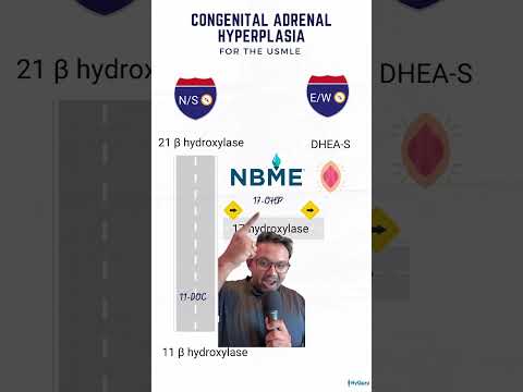 Congenital Adrenal Hyperplasia for the USMLE | HyGuru