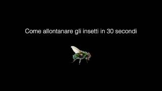 Come allontanare gli insetti in 30 secondi