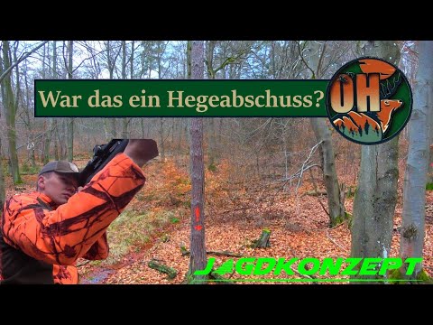 TRAUMDRÜCKJAGD bei Jagdkonzept I Tag 3 I War das ein Hegeabschuss?