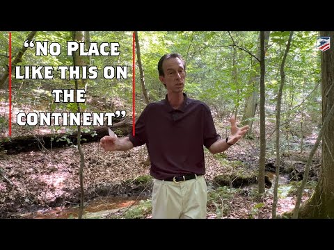 Every Tree in Sight Was Bullet-Riddled: Gaines' Mill and Cold Harbor