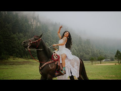 Paulina Del Campo - Del Campo