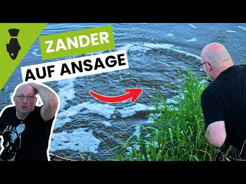 MONSTER ZANDER on the cue! - We didn't expect the ending 😱