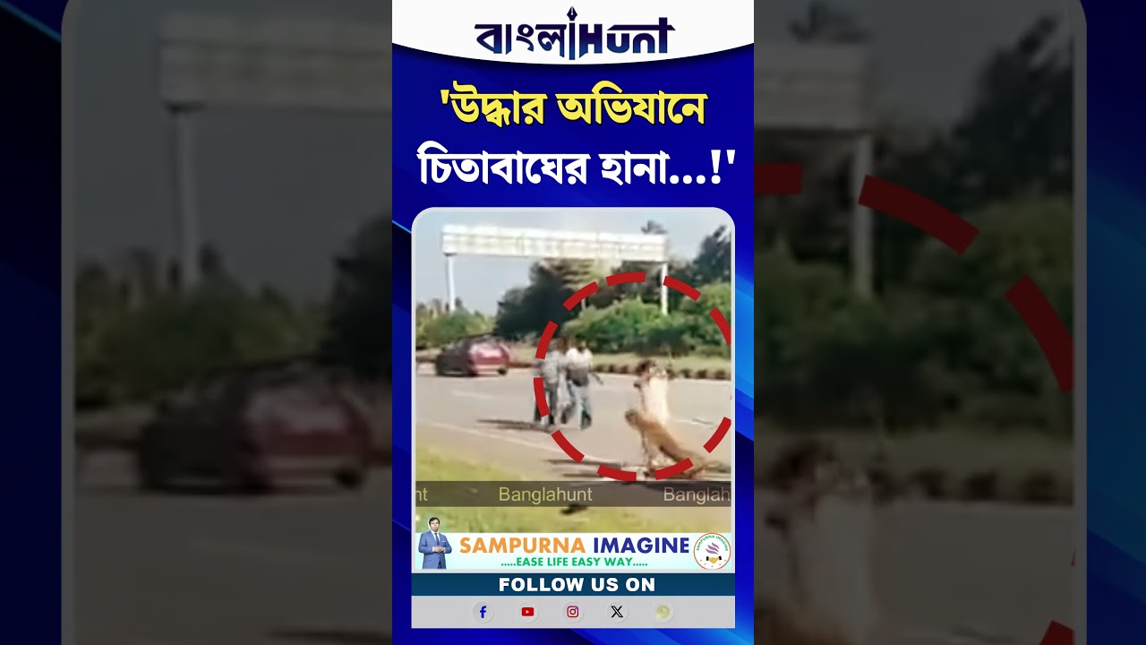 উদ্ধার অভিযানে চিতাবাঘের হানা! কর্ণাটকে হামলার শিকার বনকর্মী, চিকিৎসার জন্য হাসপাতালে আহত চিতা