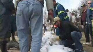 preview picture of video 'Volunteers to the Rescue- 2011 Swift Current Flood'