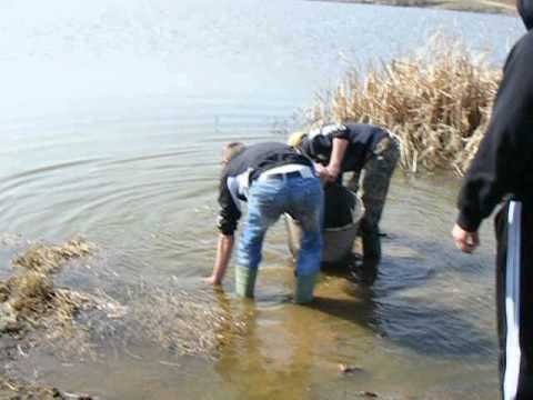 populare lac fegernic 22.03.2012 part1