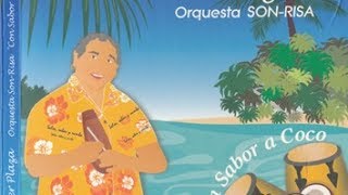 RING RING, Javier Plaza y Orquesta Son-Risa, Producción Con Sabor a Coco, Año 2010