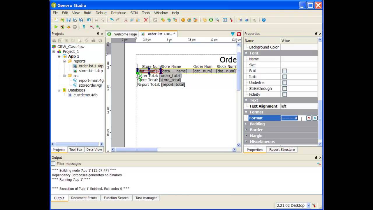 Lab 6.3: Format report items