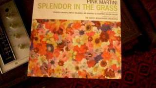 Pink Martini - Bitty Boppy Betty - Splendor in the Grass