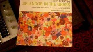 Pink Martini - Bitty Boppy Betty - Splendor in the Grass