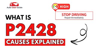 dtc p2428 quickly Fix