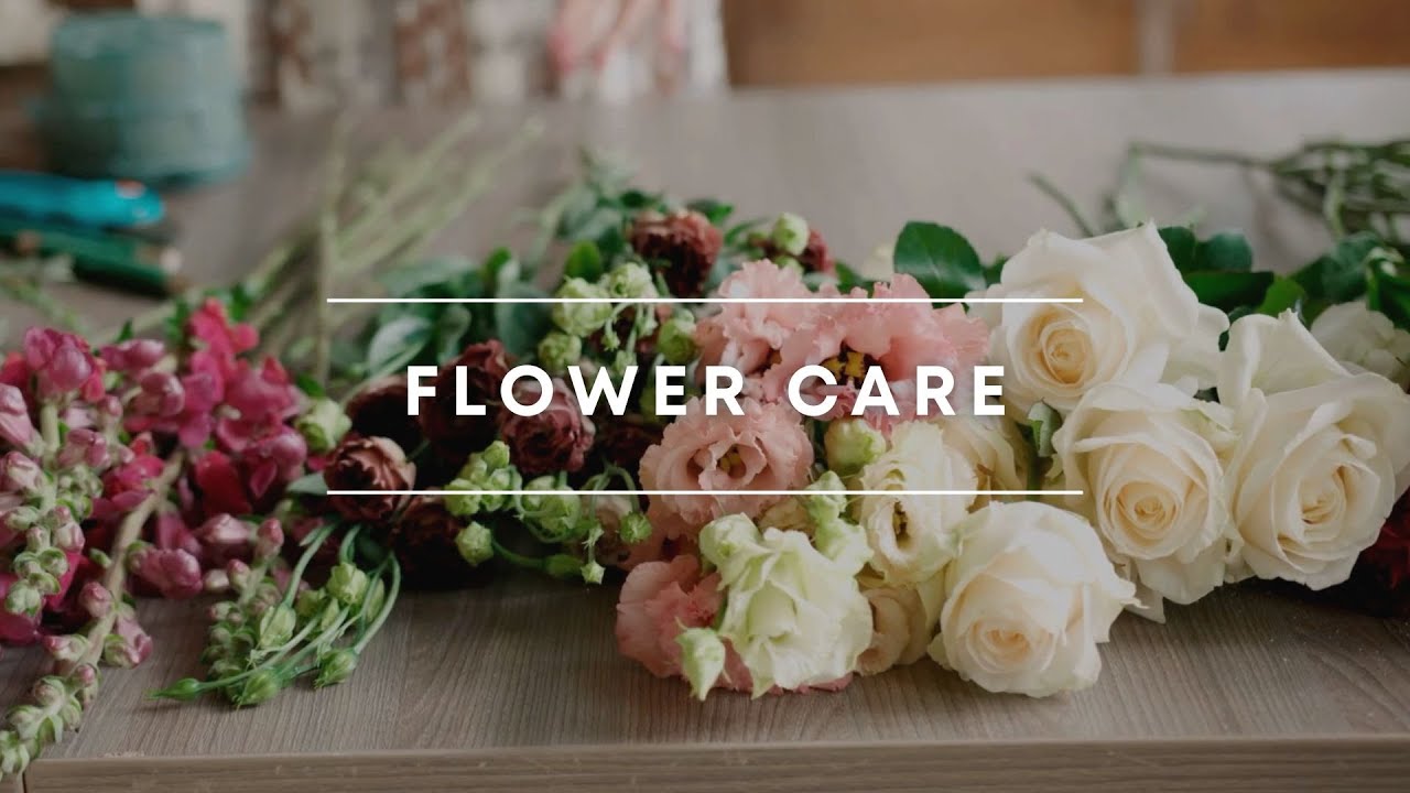 How to Keep Your Flowers Fresh: Simple Tips for Long-Lasting Bouquets