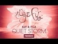 Videoklip Aly & Fila - Quiet Storm (ft. Sue McLaren)  s textom piesne