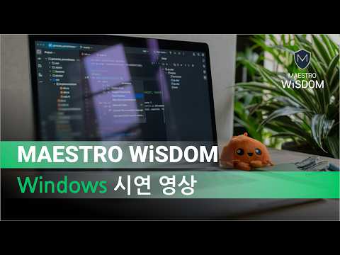 마에스트로 위즈덤