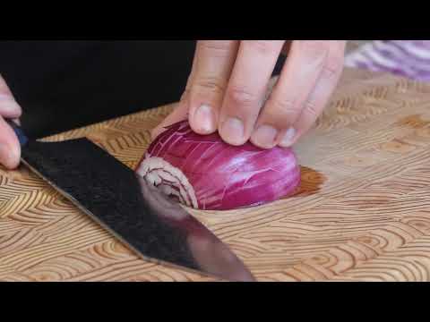 Kanetsugu Zuiun Sg2 210mm Kiritsuke vs Red Onion
