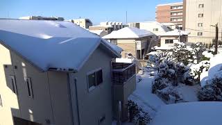 First Heavy Snow In Tokyo In The Last 4 Years (Not Gaming Related)