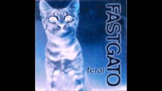 Fast Gato(Greg Ginn, Scott Reynolds)- Unreleased Track 11