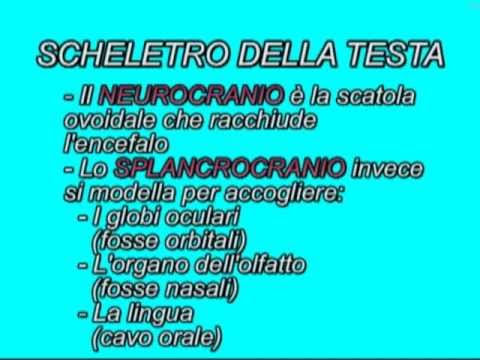 Esercizi di mal di collo Dolore alle articolazioni delle dita causa di farmaci