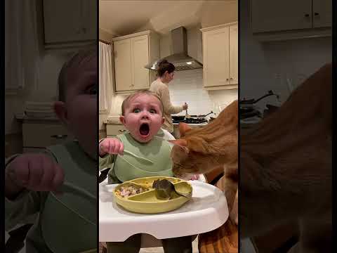 Cat Brings a “Gift” to the Baby… and the Reaction Is Priceless! 😹👶🐭 | Realistic Funny Short