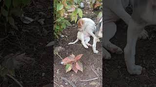 Download lagu love ku ethu thava alaga ? illa ariva ? mp3 Download lagu love ku ethu thava alaga ? illa ariva ? mp3