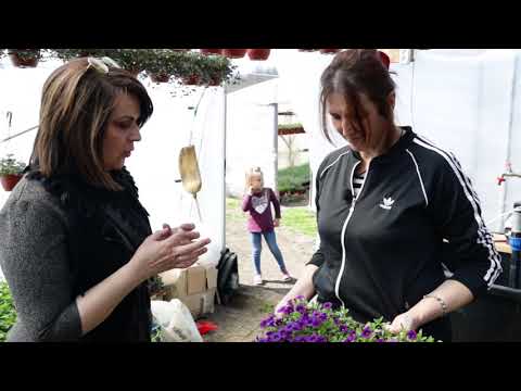 Srpski domaćin ep. 62 15.04.2021. Dragan i Mirjana Jovanović, selo Krežbinac, opština Paraćin