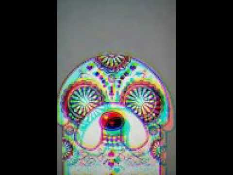 Der Struffi - Bunkermukke