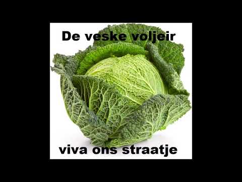 de veske voljeir - viva ons straatje