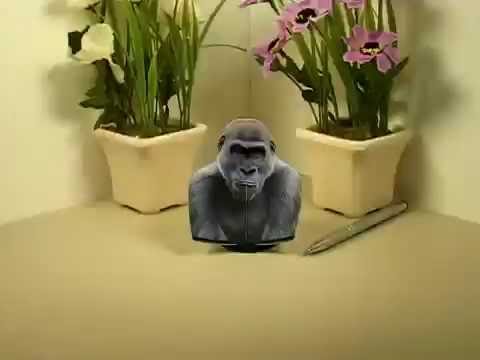 *New* Gorilla Cutout Illusion Portrait