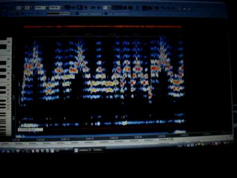 Spectrum of the "Ode to Joy"