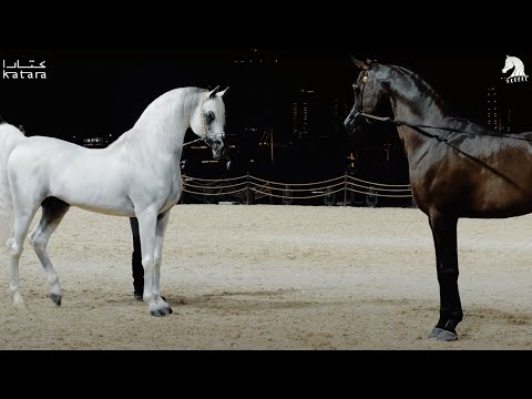 The legendary 👑 MARWAN AL SHAQAB⁣ & HIS BEST SONS 👑 at KIAHF 2022