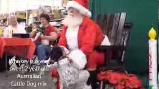 preview picture of video 'Pet Photos With Santa at Bedford Tractor Supply'