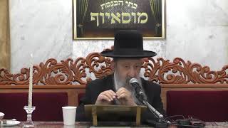 הרב בן ציון מוצפי - מהו סוד ציפורניו של אדם כסלו תשפא