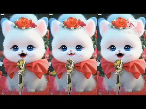 Muhammad Nabina | cute cat nat | cute