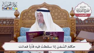 [114] حكمُ السَّمْنِ إذا سقطتْ فيه فأرةٌ فماتت - عثمان الخميس