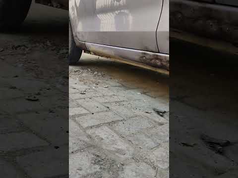 Thumbnail for Toyota passo 2013 (project restoration) by Toyota Passo