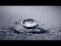 [MV]NELL'백야(White night_白夜)' 