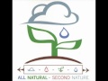 All Natural - Renaissance ( REAL CHICAGO HIP HOP)