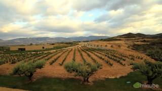 preview picture of video 'La Rioja | Finca de los arandinos hotel La Rioja'