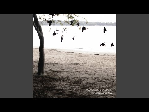 Little Brother - The Tallest Man on Earth