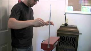 Michael Hearst - "Chinese Giant Salamander"