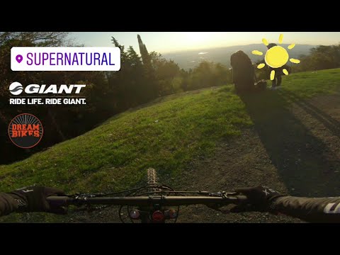 Supernatural trail | Monte morello🌲