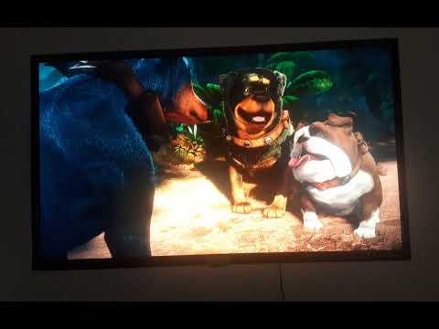 Up Altas Aventuras (2009) - Cena 17: Alfa, Gamma E Beta @WaltDisneyStudiosBR @pixar