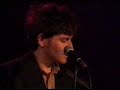 Steve Wynn - Layer By Layer/Carry A Torch